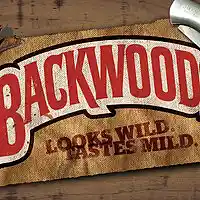 Picture for song 'Backwoods *BANGER*' by artist 'Koba Productions'