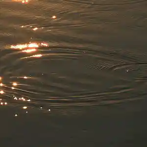 Picture for song 'Sea' by artist 'MXRXKXITO SOUND'