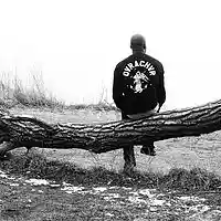 Picture for song 'Leaving The Park (081417)' by artist 'Nature Boy Holls'