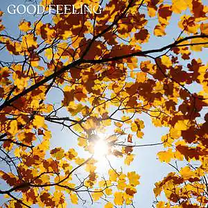 Picture for song 'Good Feeling (long version)' by artist 'Netuno Soundtracks'