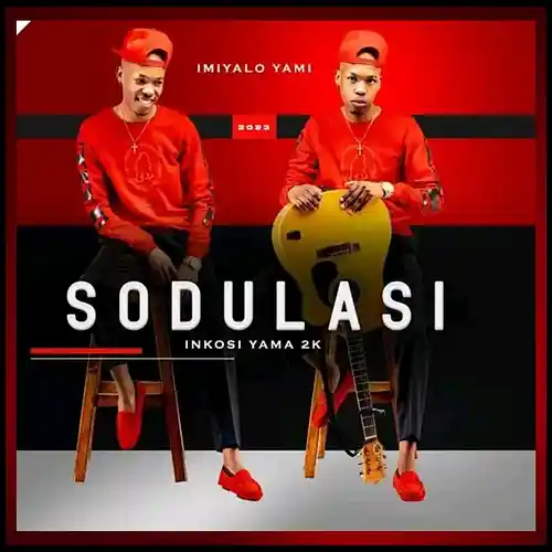 Picture for song 'Imiyalo Yami' by artist 'Sodulasi Inkosi Yama 2K'