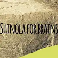 Picture for song 'Sword Wound Gash ' by artist 'Shinola For Brains'