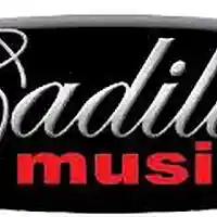 Picture for song 'Cadillac Music 80 bpm' by artist 'BeatsbyBG'