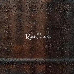 Picture for song 'J. Cole Type Beat "Raindrops"' by artist 'BeatsByJell1'