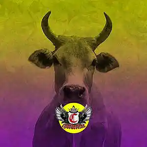 Picture for song 'BULL (Shoreline Mafia Fenix Flexing Type Beat)' by artist 'Chorderline'