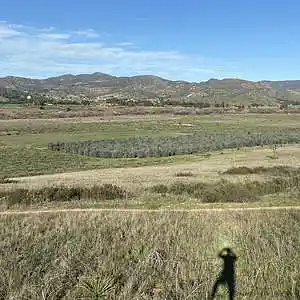 Picture for song 'Tertiary' by artist 'Gagmesharkoff'