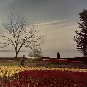 Picture for song '[free] mac miller X 50 cent type beat "shakers"' by artist 'Prod.Robby99'