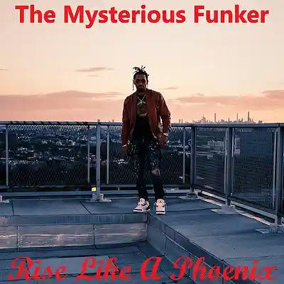 Picture for song 'Rise Like A Pheonix' by artist 'The Mysterious Funker'