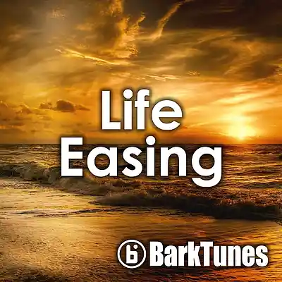 Picture for song 'Life Easing' by artist 'BarkTunes'