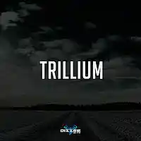 Picture for song 'Trillium' by artist 'JETT1 by Dizzee'