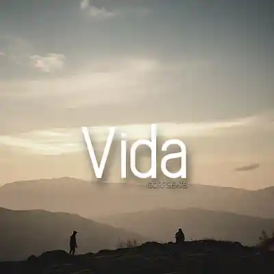 Picture for song 'Vida' by artist 'GorpBeats'