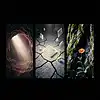 Picture for song 'Wrong Again (2026 version)' by artist 'Psychic Monkey'