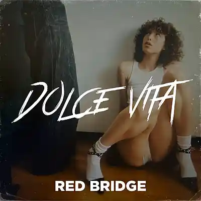 Picture for song 'Dolce Vita - Drake Type Beat x Rnb Type Beat' by artist 'Red Bridge Pro'