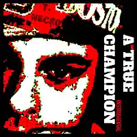 Picture for song 'A True Champion' by artist 'Turtle Necromancer'