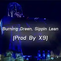 Picture for song '*New* Burning Green, Sipping Lean (Prod By X9)' by artist 'X9 OTB'