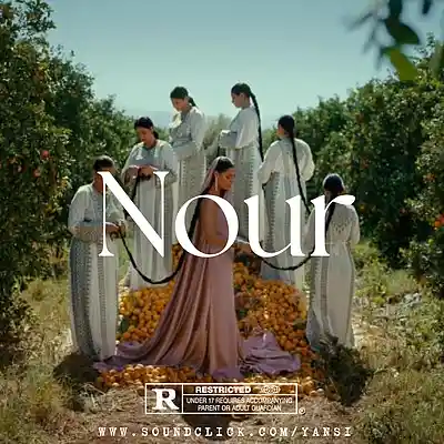 Picture for song '"Nour" Arabic Afrobeat x Oud Type Beat' by artist 'yansi'