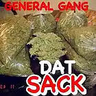 Picture for song 'Dat Sack X General Gang X Prod NardandB' by artist 'Yung General Gang'