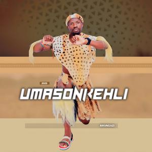 Picture for song 'Awungazi Ft Mabhida Ingangane' by artist 'Masonkehli'