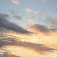 Picture for song 'Leave the Mentor' by artist 'Alisha Poor'