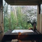 Picture for song 'Ambient Flight' by artist 'Ambient Ensemble'