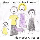 Picture for song 'mechanism' by artist 'Anal Electric Fur Harvest'