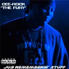 Picture for song 'JUS REMEMBERIN' STUFF' by artist 'CEE-ROCK THE FURY'