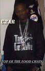 Picture for song 'Bronx Built' by artist 'CHEWCZAR'