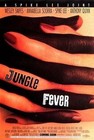 Picture for song 'JUNGLE FEVER instrumental' by artist 'LA1DRE'