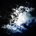 Picture for song 'Monarchs' by artist 'Dakota Newman'