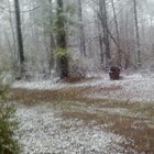 Picture for song 'Still Looking For That Road To Somewhere' by artist 'Dale Veach'