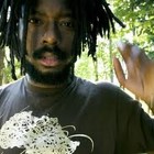 Picture for song 'FREE D/L - Morning After - Jazzy Hip-Hop' by artist 'Deviant Noise'