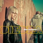 Picture for song 'The Runner' by artist 'Diedra'
