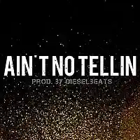 Picture for song 'Aint No Tellin (DieselBeats) FREE D/L' by artist 'DieselMusic'