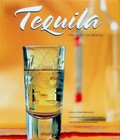 Picture for song '$$ TEQUILA $$ 2011' by artist 'DJ BLACKZONE'