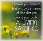 Picture for song 'Romans 12:1-2 A Living Sacrifice' by artist 'Esther Mui'