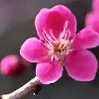 Picture for song 'A TU LLEGADA reggaeton beat 84bpm' by artist 'FINEST REGGAETON BEATS'