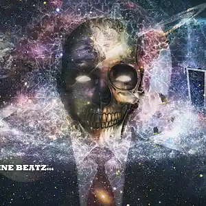 Picture for song 'Silikon' by artist 'Flatline Beatz 666'