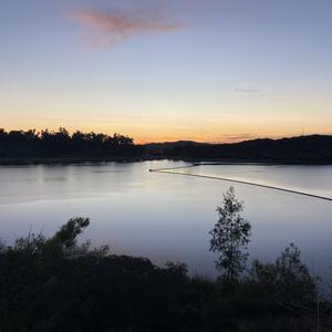 Picture for song 'Stale OG' by artist 'Gagmesharkoff'