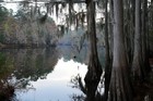 Picture for song 'Alligator Sunrise' by artist 'hottub'
