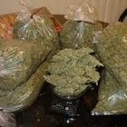 Picture for song 'NEW TRACK* Scale It (prod.by -Xclusive.iBoy)' by artist 'iBoyMusic'