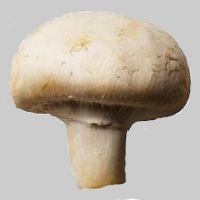 Picture for song 'Deep Floyd 323-Modular Madness' by artist 'Jammer59'