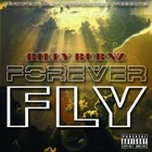 Picture for song 'Forever Fly - FREE DL!!!' by artist 'JCaspersen'