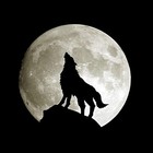 Picture for song 'full moon' by artist 'JMac B3ATZ'