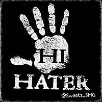 Picture for song 'Hi Hater' by artist 'kandylandTV'