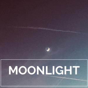 Picture for song 'MOONLIGHT / Alternative R&B' by artist 'Le Mak Music'