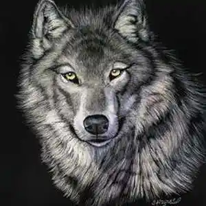 Picture for song 'GUITAR TRAXSMYTH' by artist 'mcmakktenicetxtheprince'