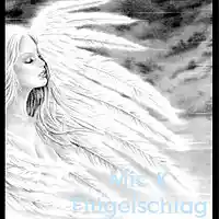 Picture for song 'Mic K - Fluegelschlag' by artist 'Mic K RapSet 2015'