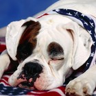 Picture for song 'Roll Somthin' Else' by artist 'MIDWEST HUSTLAZ'