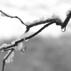 Picture for song 'Snow Melt' by artist 'Mikejazz'