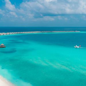 Picture for song 'Paradise' by artist 'Nech Beats'